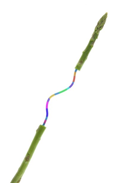 基因工程食品、蔬菜调查图片下载