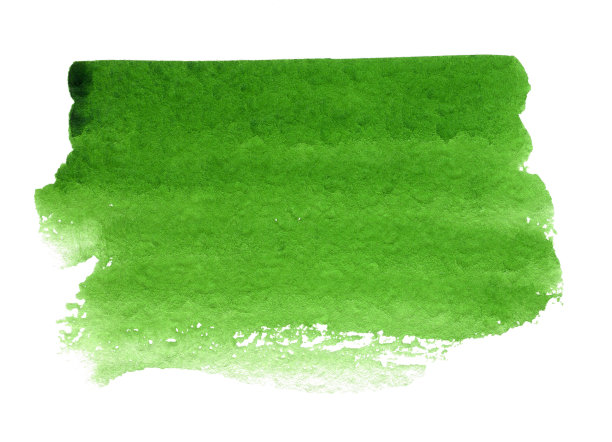 绿色水彩艺术手绘白色背景孤立，笔刷纹理的文字或标志图片下载