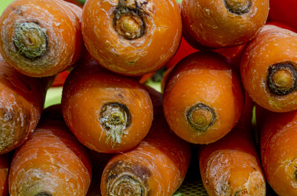 胡萝卜图片下载