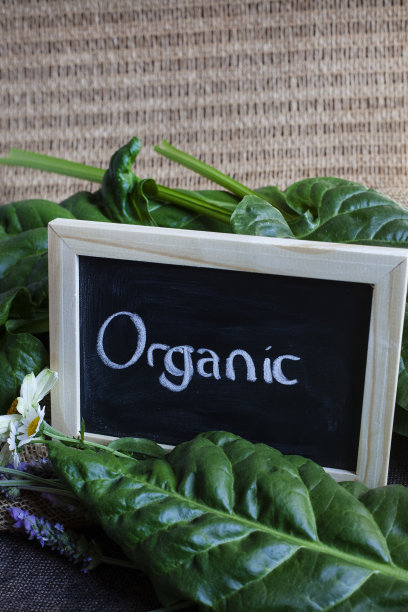 有机食品标志图片下载