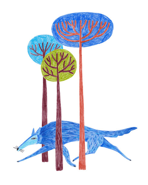 狼在树林里走来走去。图片下载