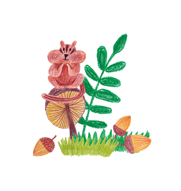 可爱的花栗鼠坐在蘑菇上。图片下载