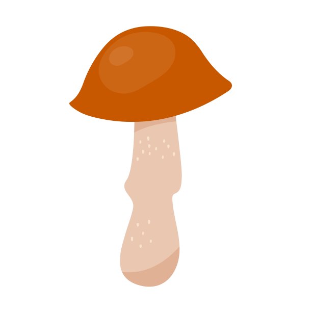 桔梗扁型牛肝菌图片下载