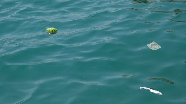 西瓜，面具和海里的垃圾图片下载