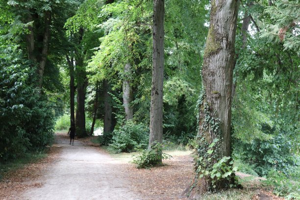 普瓦捷-沿着克莱因大道图片下载