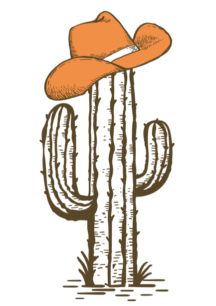 美国西部经典仙人掌上的牛仔帽图片下载