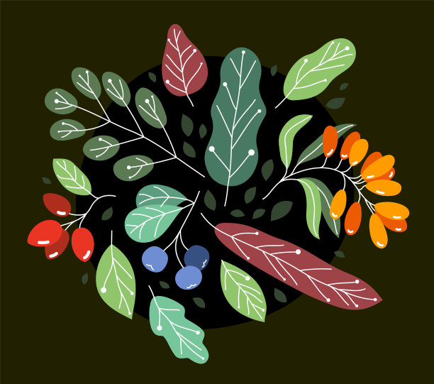 野生浆果新鲜成熟美味健康食品图片下载