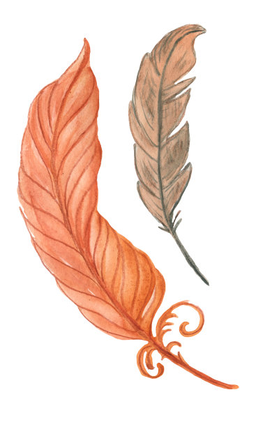 波西米亚秋天是一个水彩画和线条艺术插图的秋天的枝条，波西米亚元素，捕梦网和羽毛，抽象的形状，抽象的线条图片下载