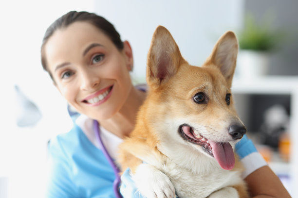 微笑的女兽医抱着漂亮的狗图片下载