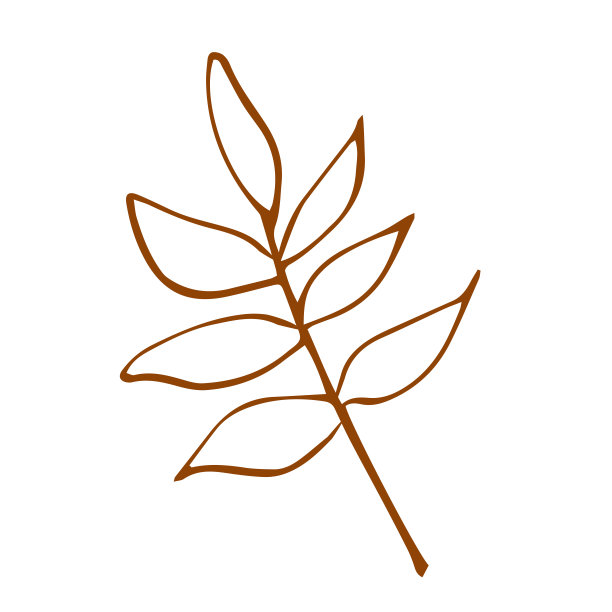 这种植物的叶子是涂鸦风格的潦草字迹。秋天的叶子。图片下载