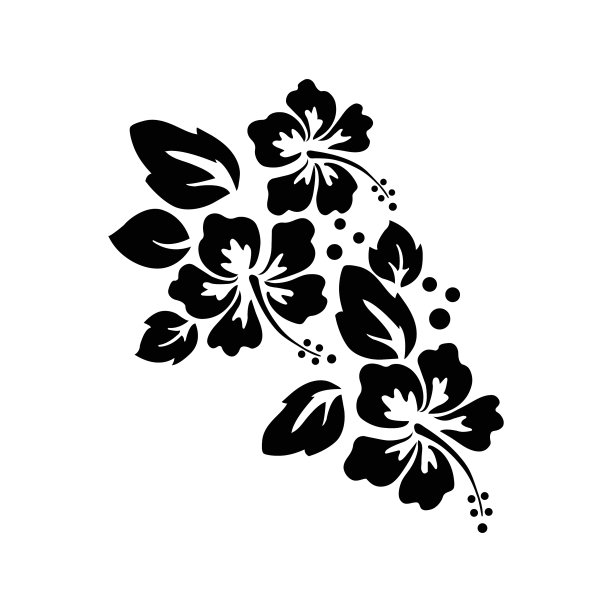 美丽的花卉装饰元素艺术图片下载