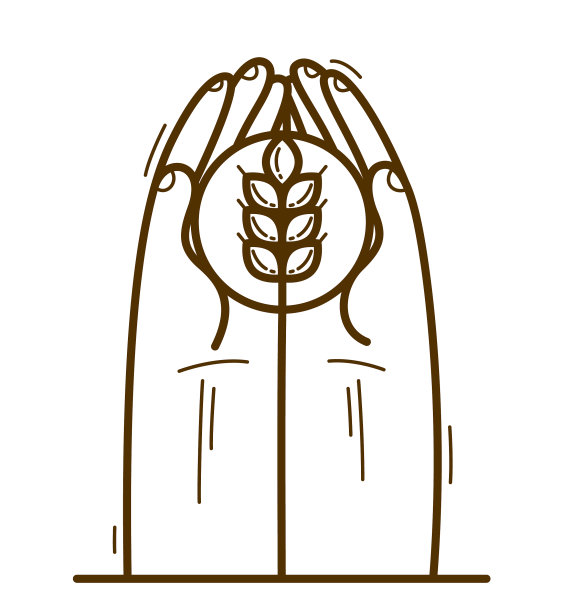 两只手有成熟的穗保护和显示图片下载