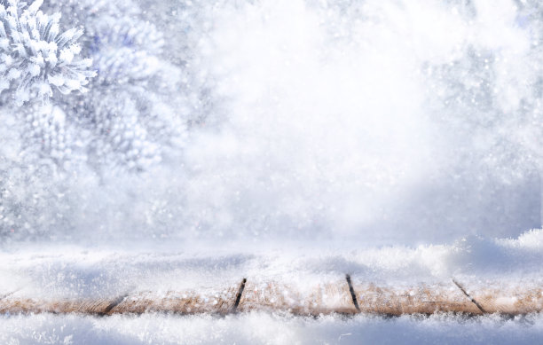 森林里的木地板上撒满了雪，自然界的冷杉树枝上也覆盖着雪。图片下载