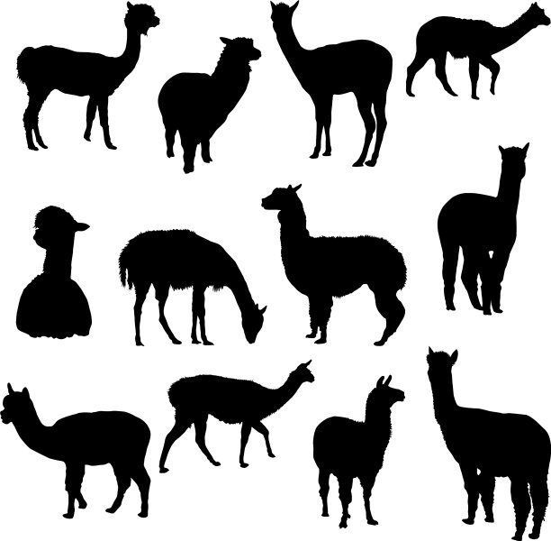 集合轮廓羊驼图片下载