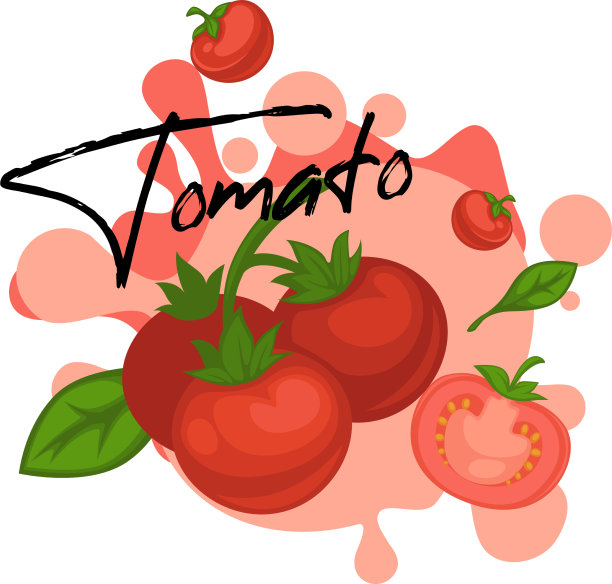 蕃茄新鲜蔬菜与罗勒叶横幅图片下载