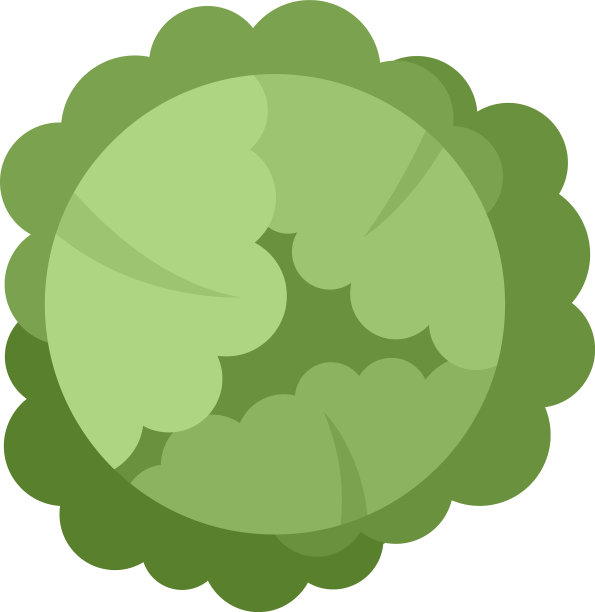 食物白菜图标平孤立图片下载