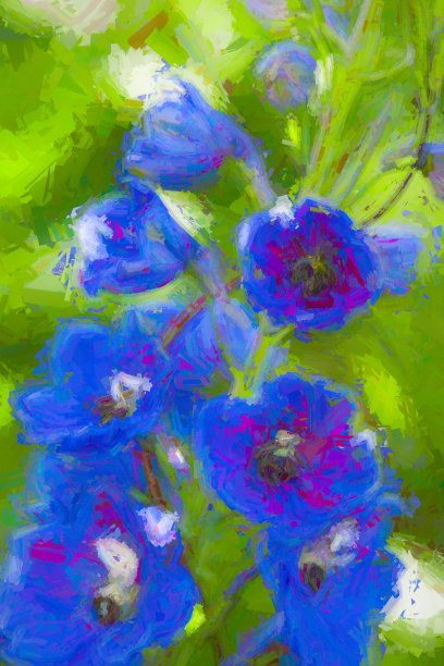 英国乡村花园里的飞燕草图片下载