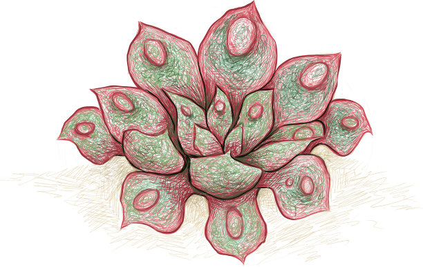 手绘素描雨滴或石杉图片下载