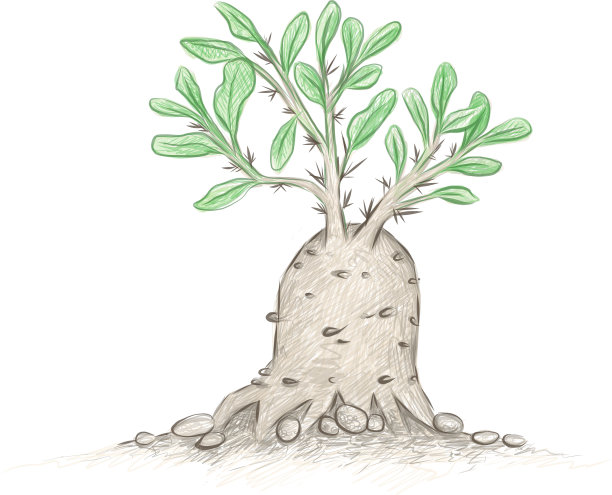 霍顿督面包手绘草图图片下载