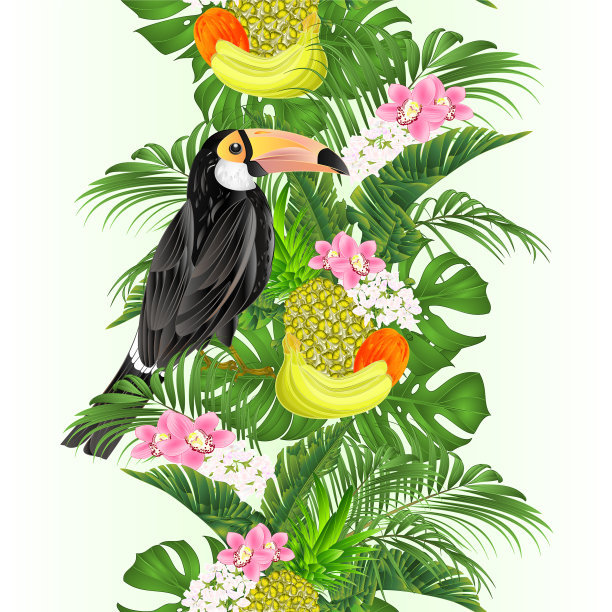 无缝边界的奇异非洲巨嘴鸟图片下载