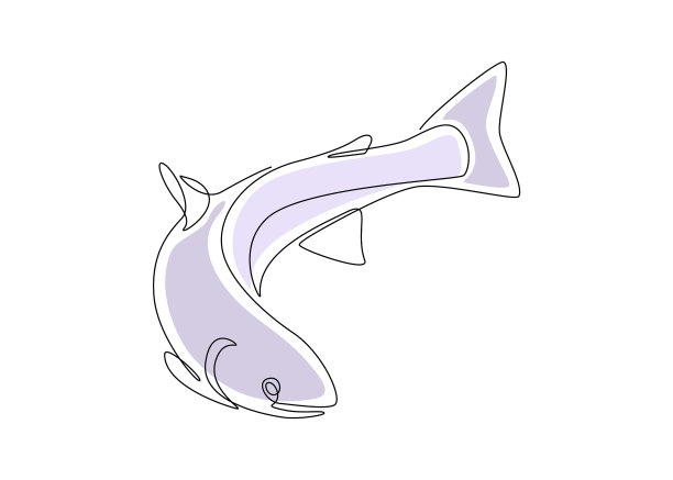 鲑鱼在一条连续的线画野生图片下载