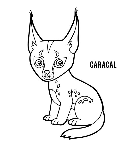 儿童涂色书，卡拉卡尔图片下载