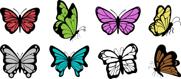 蝴蝶图标设计集模板隔离图片下载