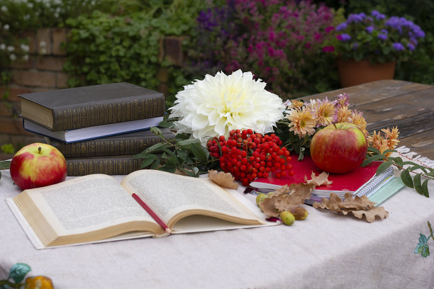 秋天的花与书和梣木。有苹果和花的静物画。图片下载