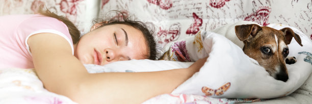 有趣的狗躺在睡觉的女学生头旁边的枕头上图片下载