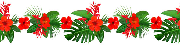 无缝边界与红花家居装饰图片下载