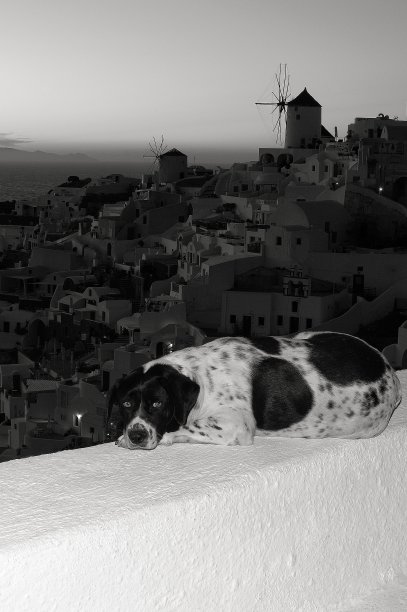 在黑白中放松图片下载