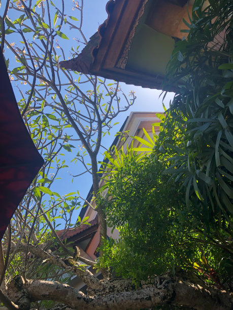 耀眼的光线穿过屋顶图片下载