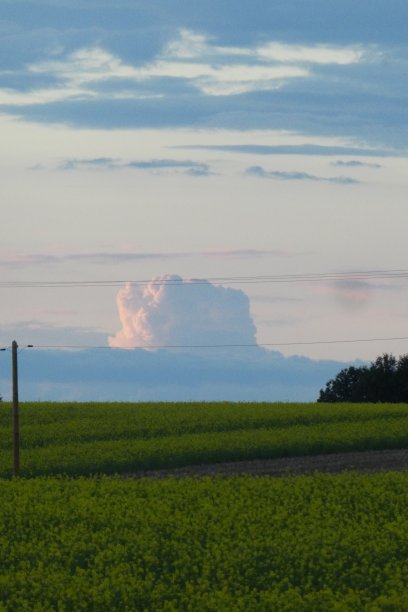 当云层到达并在油菜地上形成一片风景时图片下载