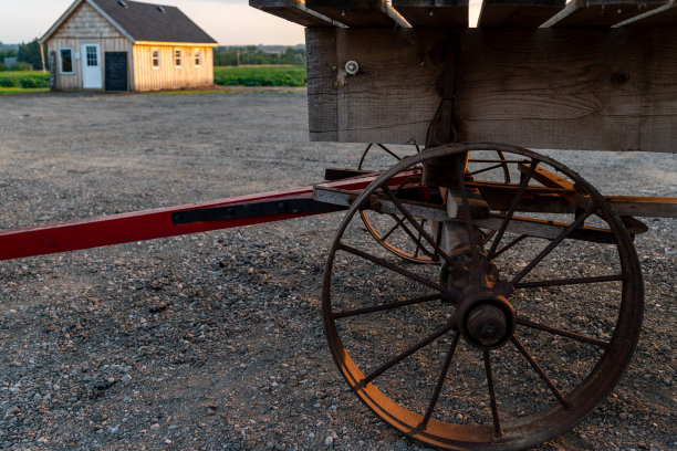 日落向日葵田，加拿大安大略省库克敦。图片下载