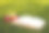 打开书在绿色的草地上，新鲜的红苹果和梨花。图片下载