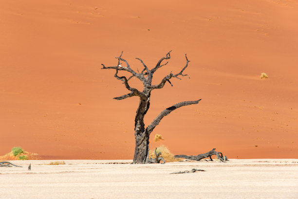 保护区诺克路福国家国家公园境内图片下载
