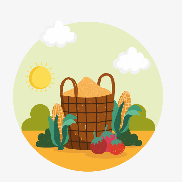 有机食品的玉米图片下载