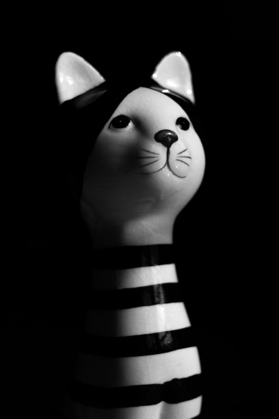 黑白相间的猫娃娃站在黑色的背景上。图片下载