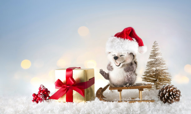 圣诞节日的作文。图片下载