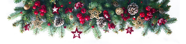 冷杉绿色的树枝上装饰着金色的星星、冷杉球果和红色的浆果。图片下载