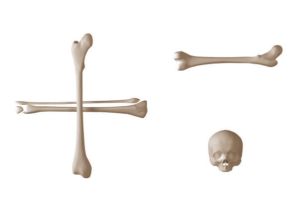 3d渲染的字母符号，由人类骨骼孤立在白色背景图片下载