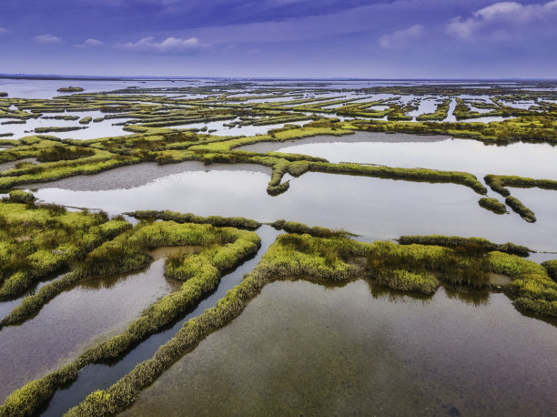 阿韦罗里亚，在葡萄牙图片下载