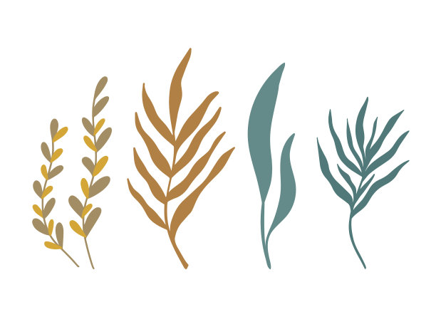 设置抽象的手绘植物剪影图片下载