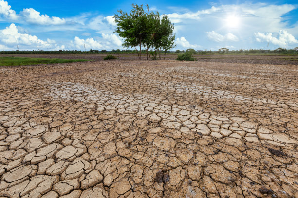 棕色干燥的土壤或开裂的地面纹理和绿色的树在蓝天背景与白云，全球变暖图片下载
