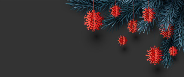 蓝色云杉树枝框架挂新冠图片下载