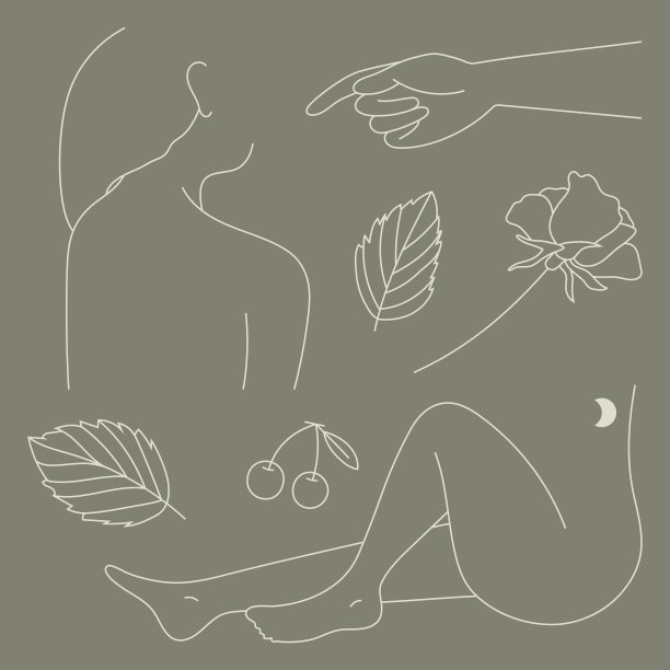 女性线条艺术收藏图片下载