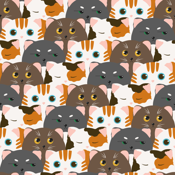 不同情绪的猫的脸。图片下载