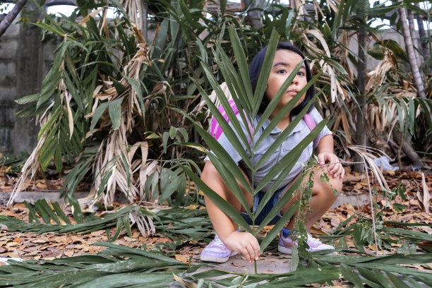 暗中监视和偷听侦探游戏的孩子。孩子躲在树后面。图片下载