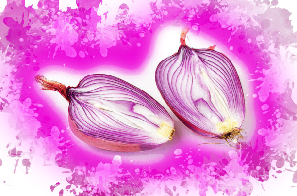 两半熟的未剥皮的生洋葱。意大利洋葱Ramata di图片下载