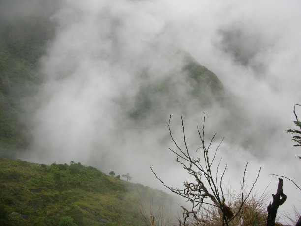 山中雾图片下载